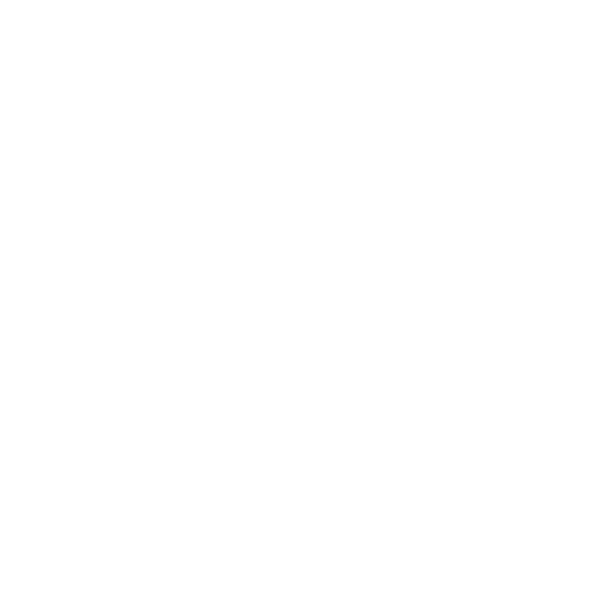 HONDA GAUCHO RS LOJA